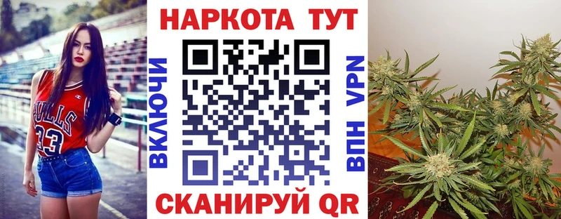 Купить наркотики Новотитаровская Конопля Меф ГАШ