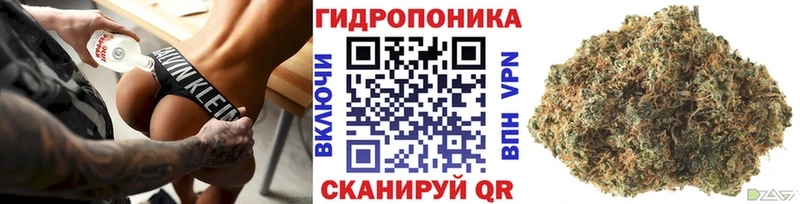 Каннабис Bruce Banner Новотитаровская